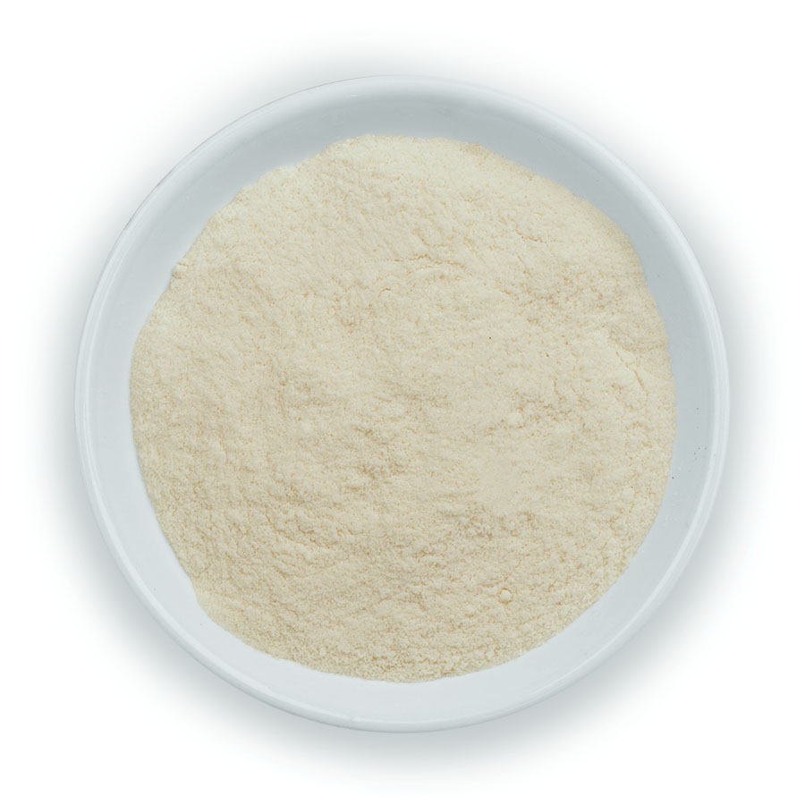 Ethyl Cellulose