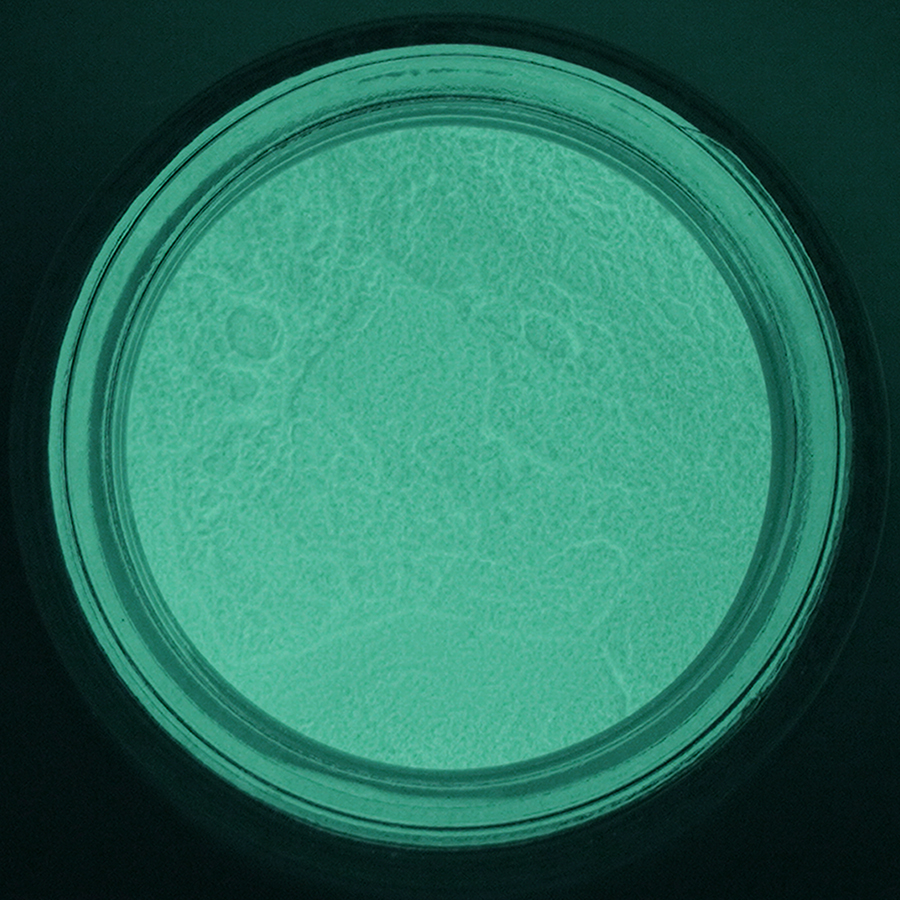 Phosphorescent Green Pigment